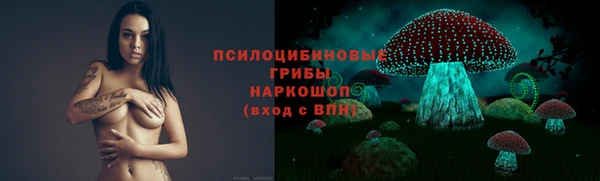мяу мяу мука Кинешма
