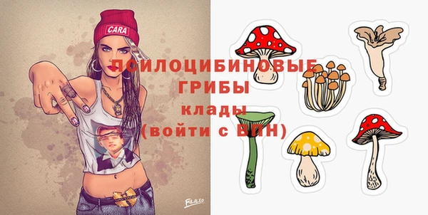 мяу мяу мука Кинешма