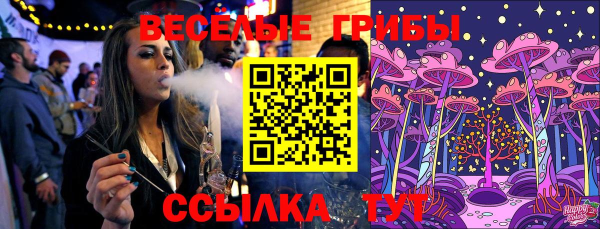 Галлюциногенные грибы Psilocybe  Севастополь  Псилоцибиновые грибы Psilocybe 