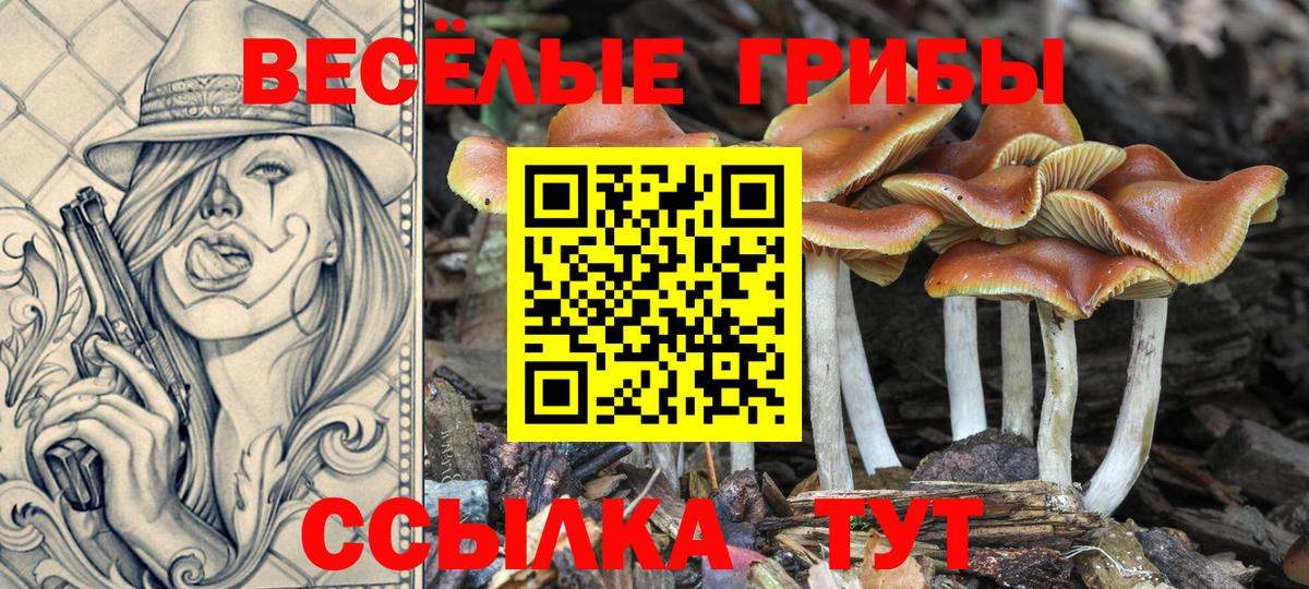 Севастополь  Псилоцибиновые грибы мицелий  Вход с VPN  Галлюциногенные грибы GOLDEN TEACHER 