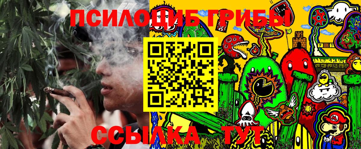 Галлюциногенные грибы GOLDEN TEACHER Севастополь